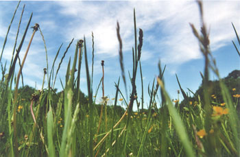 07_Englischer Garten J0006